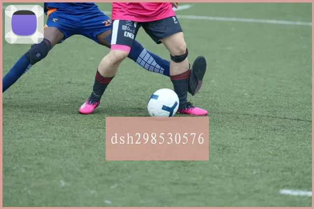 dsh298530576