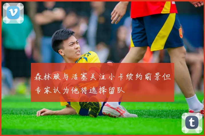 森林狼与活塞关注小卡续约前景但专家认为他将选择留队